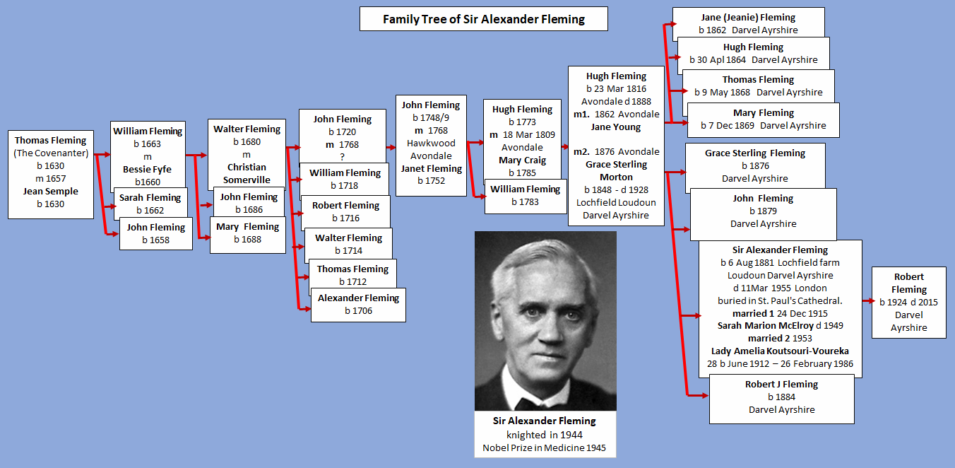 alexander fleming