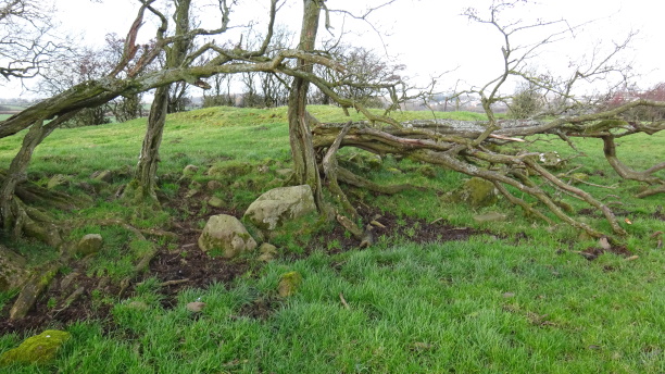 cairn1