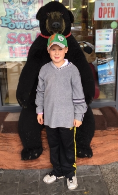 bear2