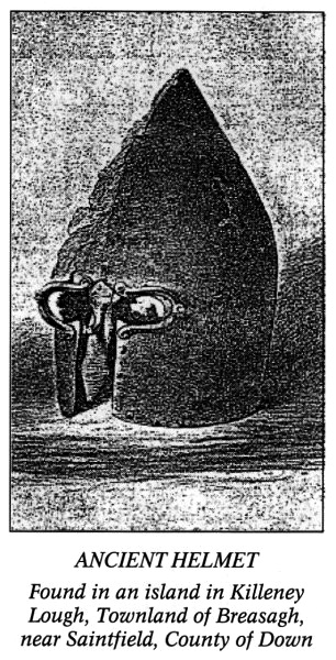 helmet