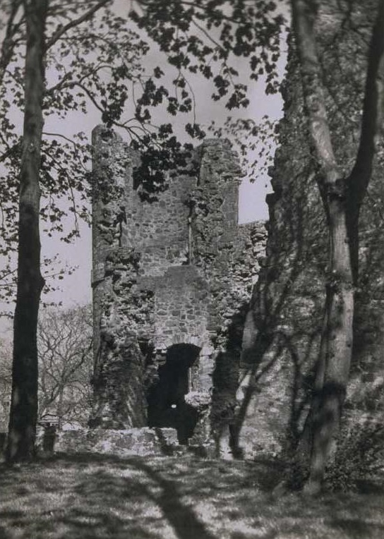avondale castle